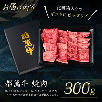 ふるさと納税 新富町 都萬牛 焼肉300g