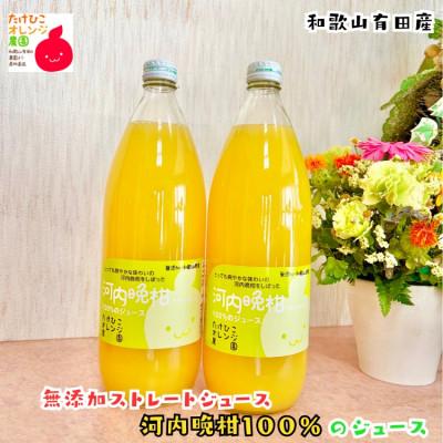 ふるさと納税 広川町 [数量限定]河内晩柑100%のジュース(無添加ストレート) 1,000ml×2本セット