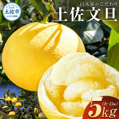 ふるさと納税 土佐市 白木屋のこだわり土佐文旦 約5kg(露地)