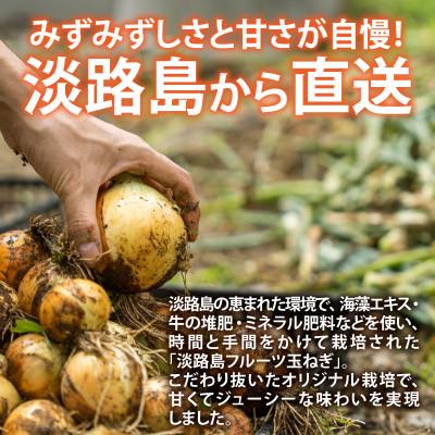 ふるさと納税 兵庫県 【先行予約】新玉フルーツ玉ねぎ4kg【サイズ色々】 ※2027年3月上旬より順次発送 |  | 01