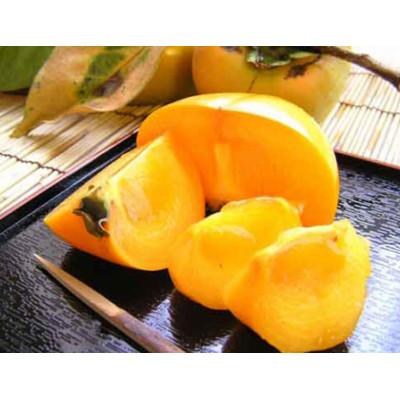 ふるさと納税 かつらぎ町 たねなし柿 秀品 大玉3L-28個入り 約7.5kg[10月上旬〜順次発送]