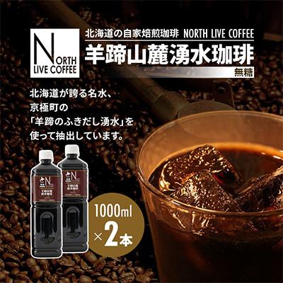 ふるさと納税 江別市 ノースライブコーヒー 羊蹄山麓湧水珈琲(無糖) 1000ml×2本セット