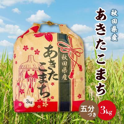ふるさと納税 横手市 あきたこまち 3kg×1袋[5分づき]秋田県産 こまちライン 精米