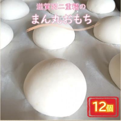 ふるさと納税 長浜市 滋賀羽二重糯のまん丸おもち 12個