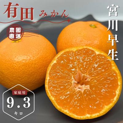 ふるさと納税 湯浅町 有田みかん 早生 9.3キロ 家庭用