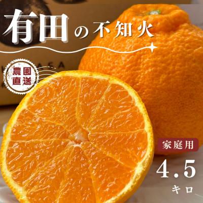 ふるさと納税 湯浅町 有田の不知火 4.5キロ 家庭用 サイズ混合