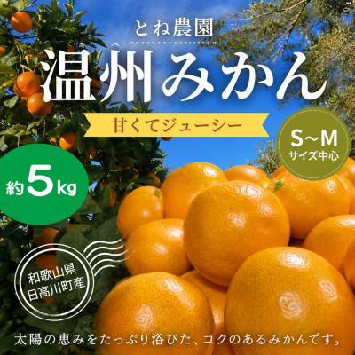 ふるさと納税 日高川町 [家庭用]甘い ジューシー 温州みかん(宮川早生)約5kg S〜Mサイズ中心 和歌山県日高川町産