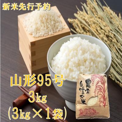 ふるさと納税 小国町 [令和8年産米 先行予約]山形95号 精米 3kg 佐藤
