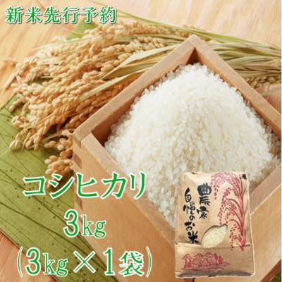 ふるさと納税 小国町 [令和8年産米 先行予約]コシヒカリ 精米 3kg 佐藤