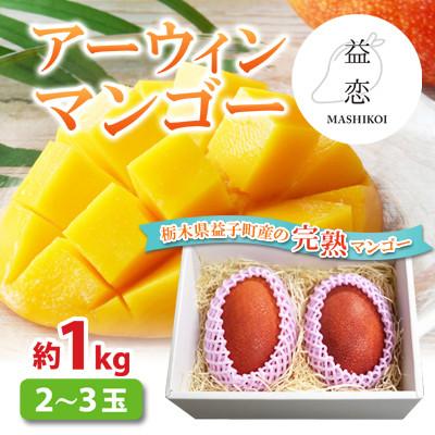 ふるさと納税 益子町 [2026年7月上旬より順次発送]益恋 アーウィンマンゴー 約1kg(2〜3玉)