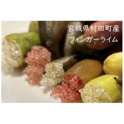ふるさと納税 村田町 [宮城県村田町産]フィンガーライムMIX 100g×1パック