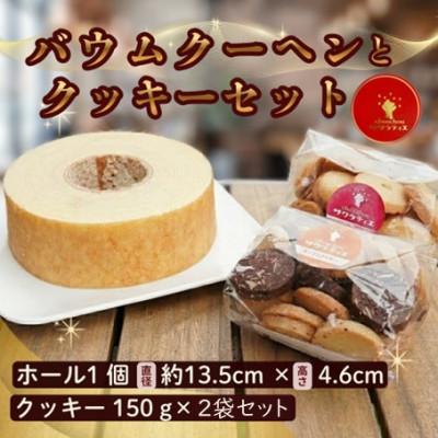 ふるさと納税 綾部市 バウムクーヘン 「プレーン」高さ4.6cm×1個 &amp; クッキー150g×2袋セット