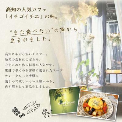 ふるさと納税 芸西村 土佐あかうし使用 本格スープカレー 1食セット レトルト 牛骨スープ仕立て【VEL001】 |  | 03