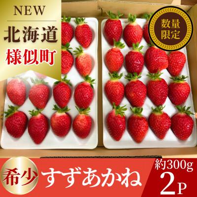 ふるさと納税 様似町 夏いちご王国 様似町産 すずあかね 約300g×2パック