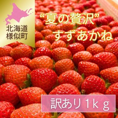 ふるさと納税 様似町 [訳あり]様似町産 すずあかね 約1kg