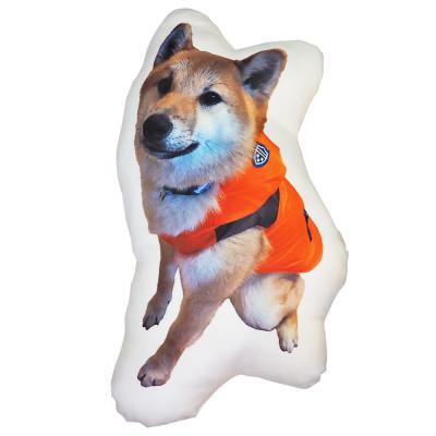 ふるさと納税 西尾市 オリジナルフリーカットクッション両面プリントMサイズ(最大40cm)