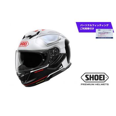 ふるさと納税 一関市 GT-Air3 MIKE TC-6 WHITE/BLACK L パーソナルフィッティング利用券付