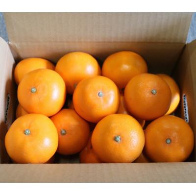 ふるさと納税 由良町 [2027年2月より順次発送] 和歌山県産 せとか 約3kg 秀品 [まごころ手選別]