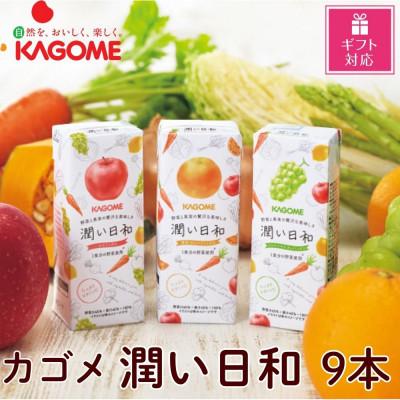 ふるさと納税 北杜市 [ギフト包装対応]カゴメ 潤い日和(3種)計9本