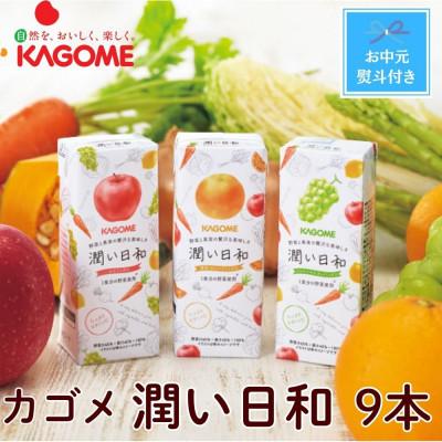 ふるさと納税 北杜市 [お中元]カゴメ 潤い日和(3種)計9本