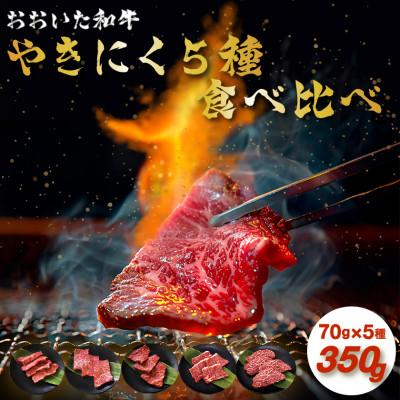 ふるさと納税 日出町 [訳あり]おおいた和牛お試し食べ比べ焼肉5種セット (合計350g) (日出町)
