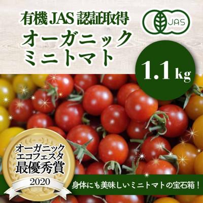 ふるさと納税 喜多方市 有機ミニトマト宝石箱ギフトセット(スタンダード)産地直送 オーガニック 野菜