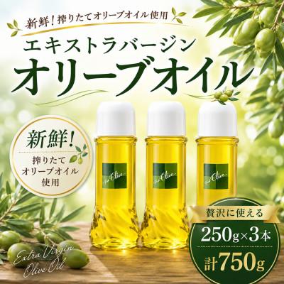 ふるさと納税 藤沢市 [エキストラバージン]オリーブオイル 250g × 3本 計 750g