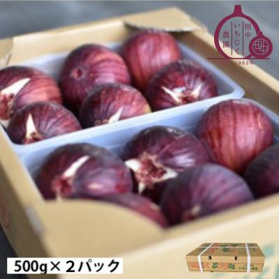 ふるさと納税 河南町 [1kg]田中いちじく農園の朝採り新鮮いちじく 4〜7個入×2パック