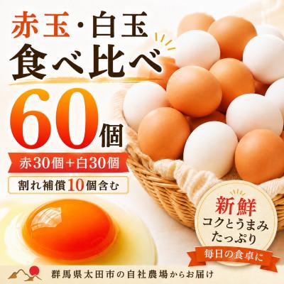 ふるさと納税 太田市 むかしの美味しい卵・心美卵 紅白食べ比べセット 60個(各30個) | 