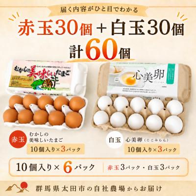ふるさと納税 太田市 むかしの美味しい卵・心美卵 紅白食べ比べセット 60個(各30個) |  | 01
