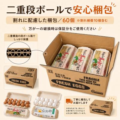 ふるさと納税 太田市 むかしの美味しい卵・心美卵 紅白食べ比べセット 60個(各30個) |  | 02
