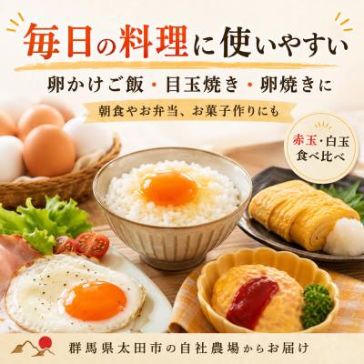 ふるさと納税 太田市 むかしの美味しい卵・心美卵 紅白食べ比べセット 60個(各30個) |  | 03