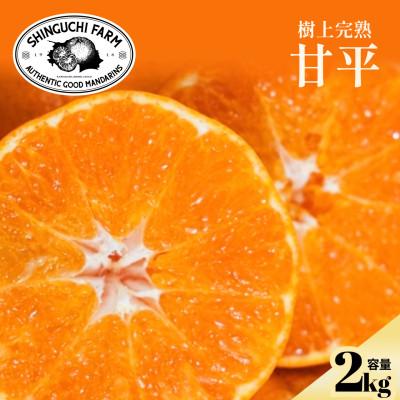 ふるさと納税 八幡浜市 [創業110年の伝統]五代目が厳選した甘平 2kg[家庭用][70-182]