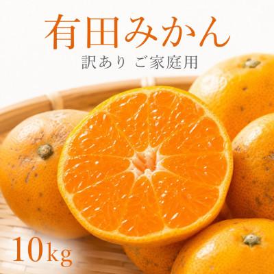 ふるさと納税 那智勝浦町 和歌山有田みかん10kg[訳ありご家庭用]2S〜2Lサイズ混合