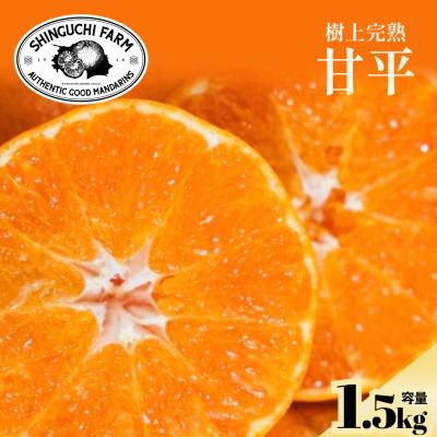 ふるさと納税 八幡浜市 [創業110年の伝統]五代目が厳選した甘平 1.5kg[70-184]
