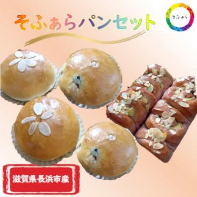 ふるさと納税 長浜市 そふぁらパン6個セット(すいーとぽてと・ダブルクリーム・黒豆ダブルクリーム)