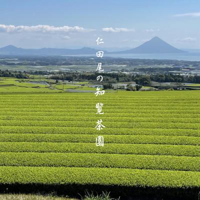 ふるさと納税 南九州市 【自宅用】知覧茶園のティーバッグ「粉茶」 3袋セット |  | 02