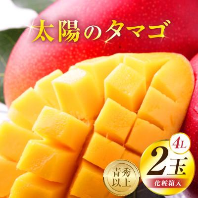 ふるさと納税 宮崎市 太陽のタマゴ 4L×2玉 宮崎完熟マンゴー 糖度15度以上 最高級スイーツ 合計約1kg