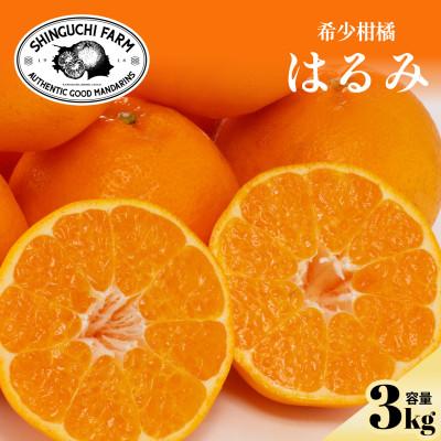 ふるさと納税 八幡浜市 [創業110年]五代目が厳選した弾ける果肉 はるみ3kg[70-179]