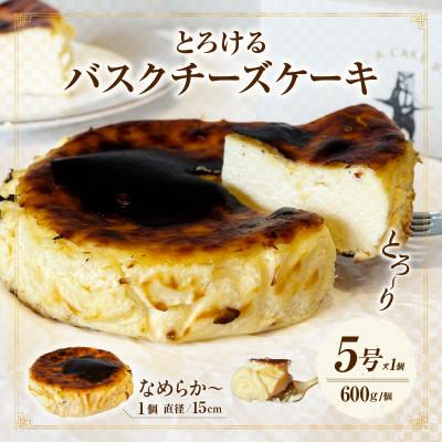 ふるさと納税 西尾市 究極セット!プレーンバスクチーズケーキ/ガトーショコラペアセット