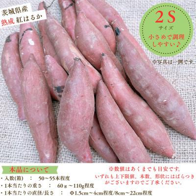 ふるさと納税 かすみがうら市 産地直送!生さつまいも「熟成紅はるか」調理しやすい小さめサイズ5kg