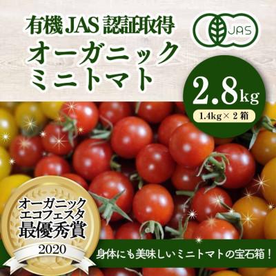 ふるさと納税 喜多方市 有機ミニトマト宝石箱ギフトセット(2箱セット)産地直送 オーガニック 野菜
