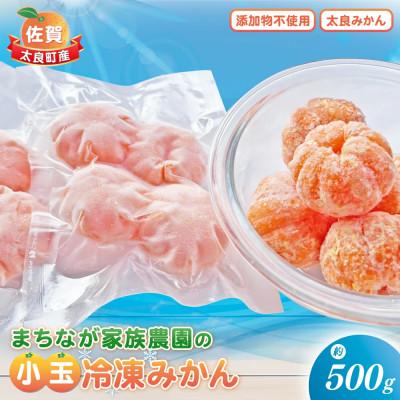 ふるさと納税 太良町 まちなが家族農園の小玉冷凍みかん 約500g[LA2]