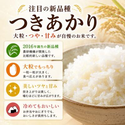 ふるさと納税 茅野市 つきあかり 精米 10kg(5kg×2袋) : Yahoo!ふるさと