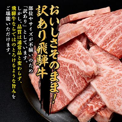 ふるさと納税 養老町 【訳あり】飛騨牛 焼肉　切り落とし 500g |  | 02