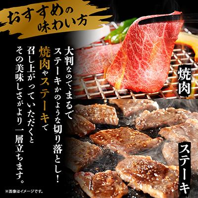 ふるさと納税 養老町 【訳あり】飛騨牛 焼肉　切り落とし 500g |  | 03