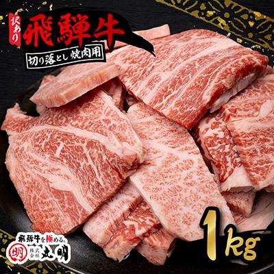 ふるさと納税 養老町 【訳あり】飛騨牛 焼肉　切り落とし 1kg | 