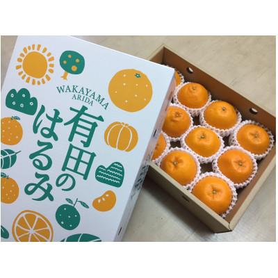 ふるさと納税 那智勝浦町 [まごころ手選別]和歌山県産 はるみ 化粧箱 2Lサイズ12個入[2027年1月下旬より順次発送]
