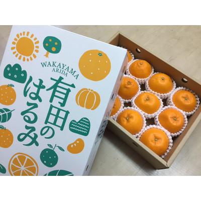 ふるさと納税 高野町 [まごころ手選別]和歌山県産 はるみ 化粧箱 2Lサイズ12個入[2027年1月下旬より順次発送]