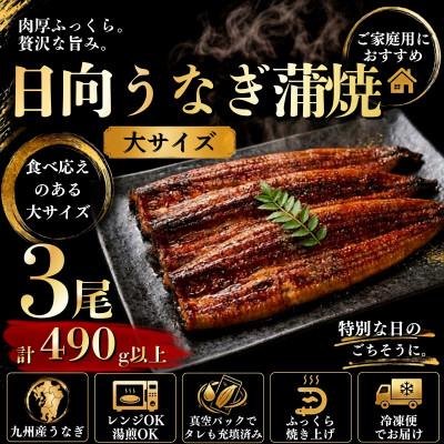 ふるさと納税 日向市 日向うなぎ蒲焼 大3尾(計490g以上)